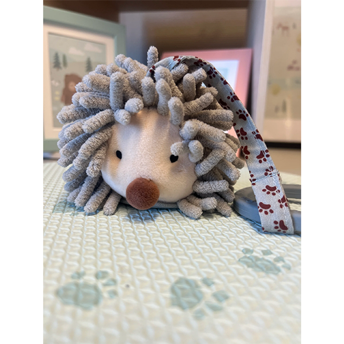 Little Climby Lille Pinnsvin