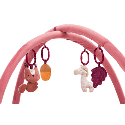 Babygym - Rose